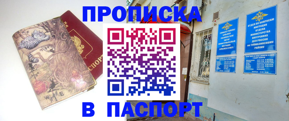 пропишу в квартире в Вяземском